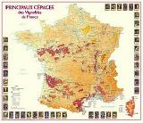 Principal grape varieties of France map