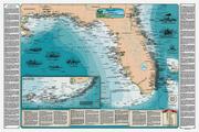 Florida Shipwreck Chart