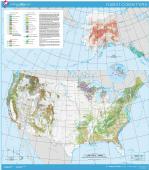 USA forest cover map
