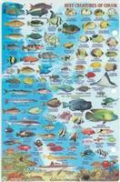 Truk fish card