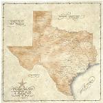 Texas wall map