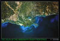 Mississippi Delta satellite map