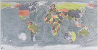 World magnetic wall map