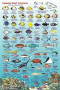 Kauai fish card